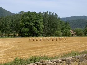 La cabanya d'en Joan